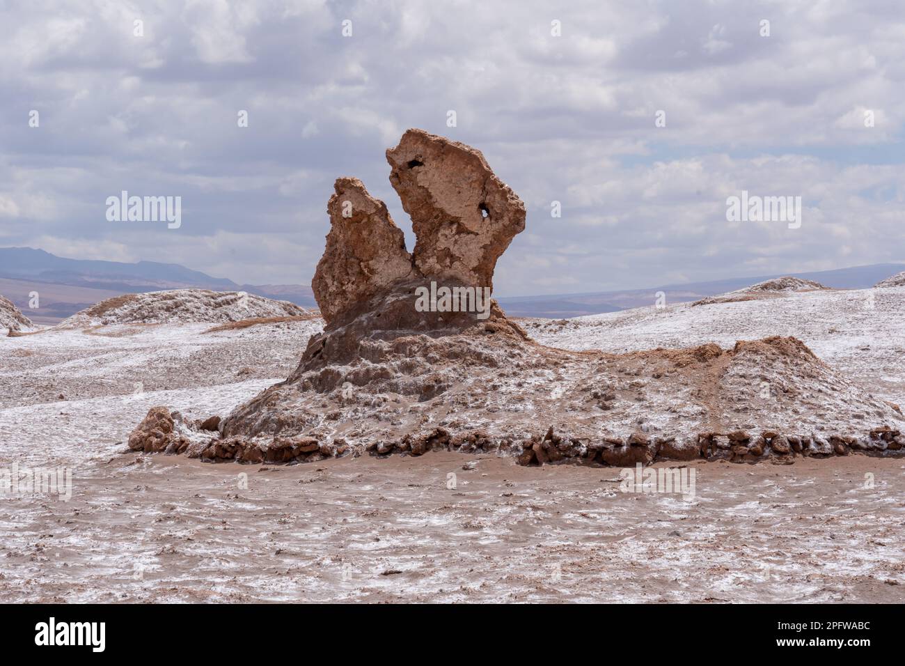 Dinodur Head formation naturelle de roches dans la Vallée de la Lune (Valle de la Luna) à San Pedro de Atacama, Chili. Banque D'Images