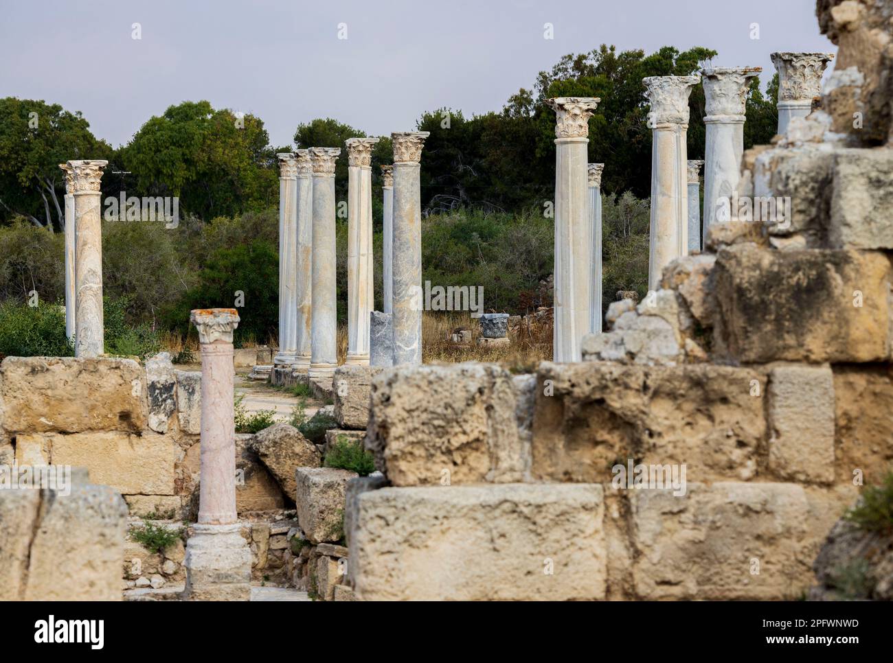 7 juin 2022, Famagusta, Chypre : colonnes du gymnase de Salamis avec plusieurs bains romains à proximité. Salamis était une ancienne cité-état grecque sur la côte est de Chypre, à l'embouchure de la rivière Pedieos, près de Famagouste moderne. Le fondateur de Salamis était Teucer, fils de Telamon, roi de l'île grecque de Salamis, qui ne pouvait pas rentrer à la maison après la guerre de Troie parce qu'il n'avait pas vengé son frère Ajax. Les découvertes archéologiques remontent au XIe siècle avant Jésus-Christ, âge du bronze tardif. Le ''centre culturel'' de Salamis pendant la période romaine a un gymnase, théâtre, amphithéâtre, stade et p Banque D'Images