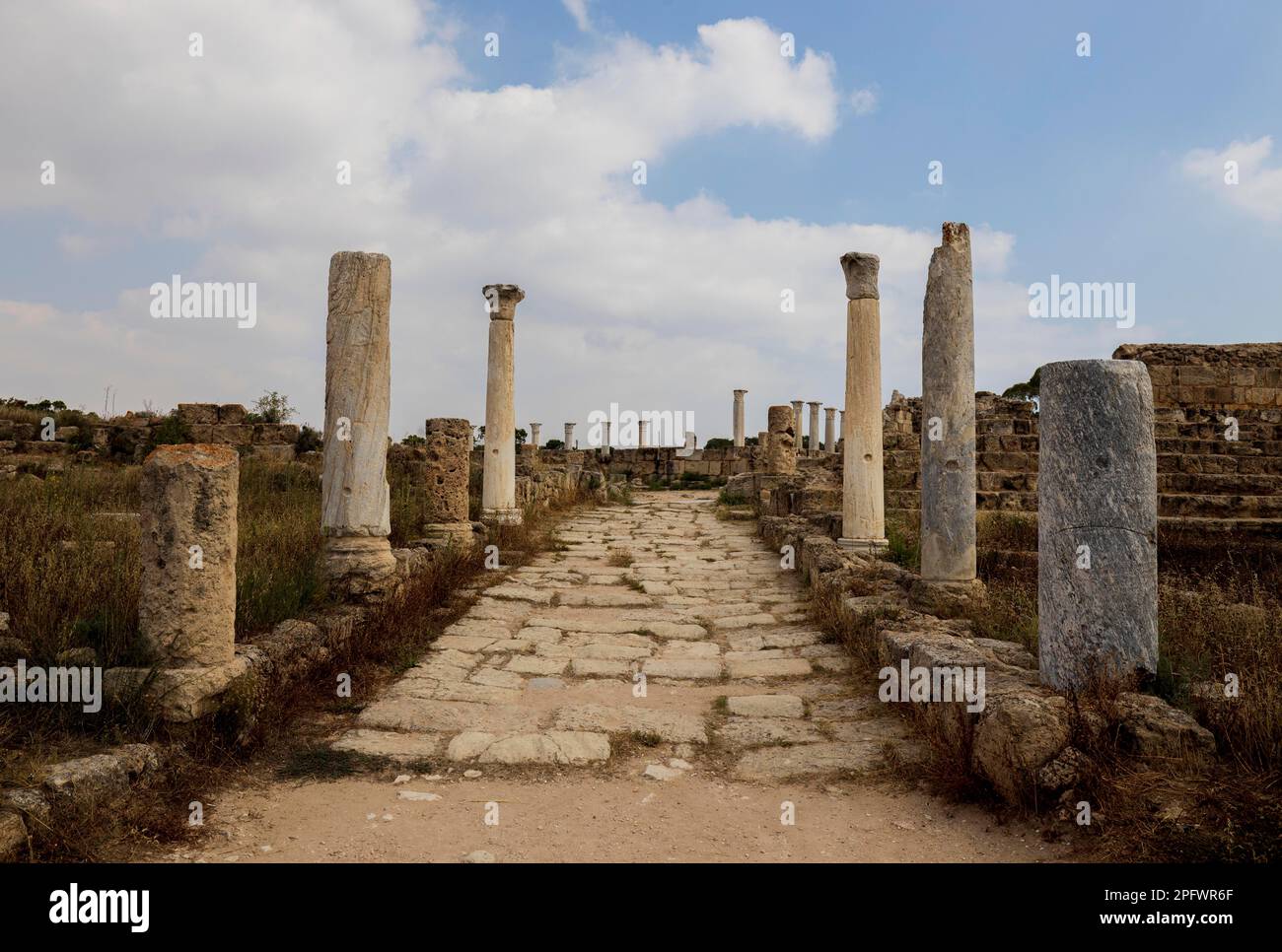 7 juin 2022, Famagusta, Chypre : colonnes du gymnase de Salamis avec plusieurs bains romains à proximité. Salamis était une ancienne cité-état grecque sur la côte est de Chypre, à l'embouchure de la rivière Pedieos, près de Famagouste moderne. Le fondateur de Salamis était Teucer, fils de Telamon, roi de l'île grecque de Salamis, qui ne pouvait pas rentrer à la maison après la guerre de Troie parce qu'il n'avait pas vengé son frère Ajax. Les découvertes archéologiques remontent au XIe siècle avant Jésus-Christ, âge du bronze tardif. Le ''centre culturel'' de Salamis pendant la période romaine a un gymnase, théâtre, amphithéâtre, stade et p Banque D'Images