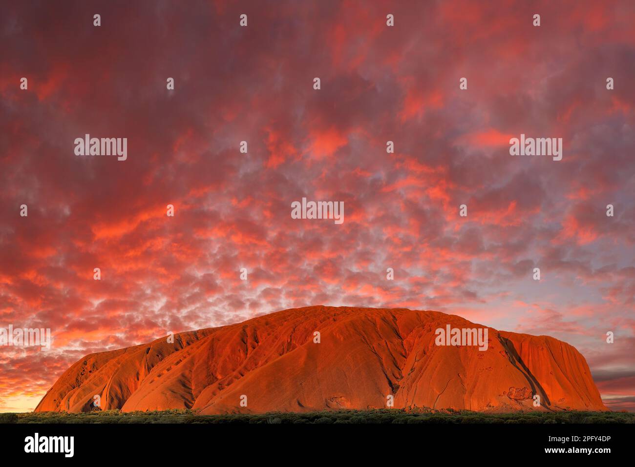 Uluru, Australie - 19 mars 2023 - coucher de soleil sur Uluru, le célèbre monolithe géant du désert australien. Banque D'Images