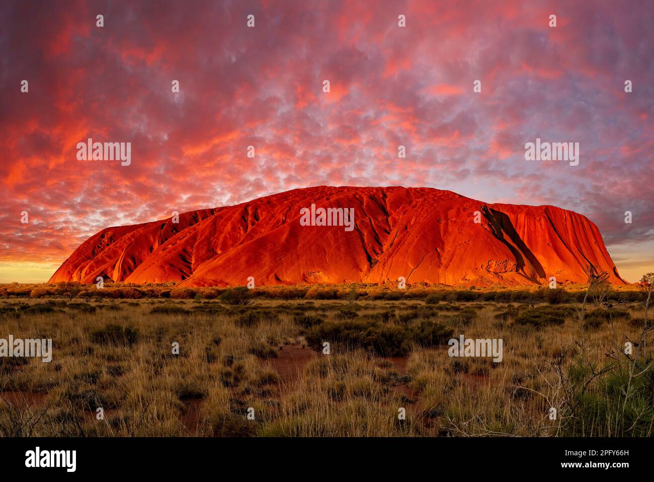 Uluru, Australie - 19 mars 2023 - coucher de soleil sur Uluru, le célèbre monolithe géant du désert australien. Banque D'Images
