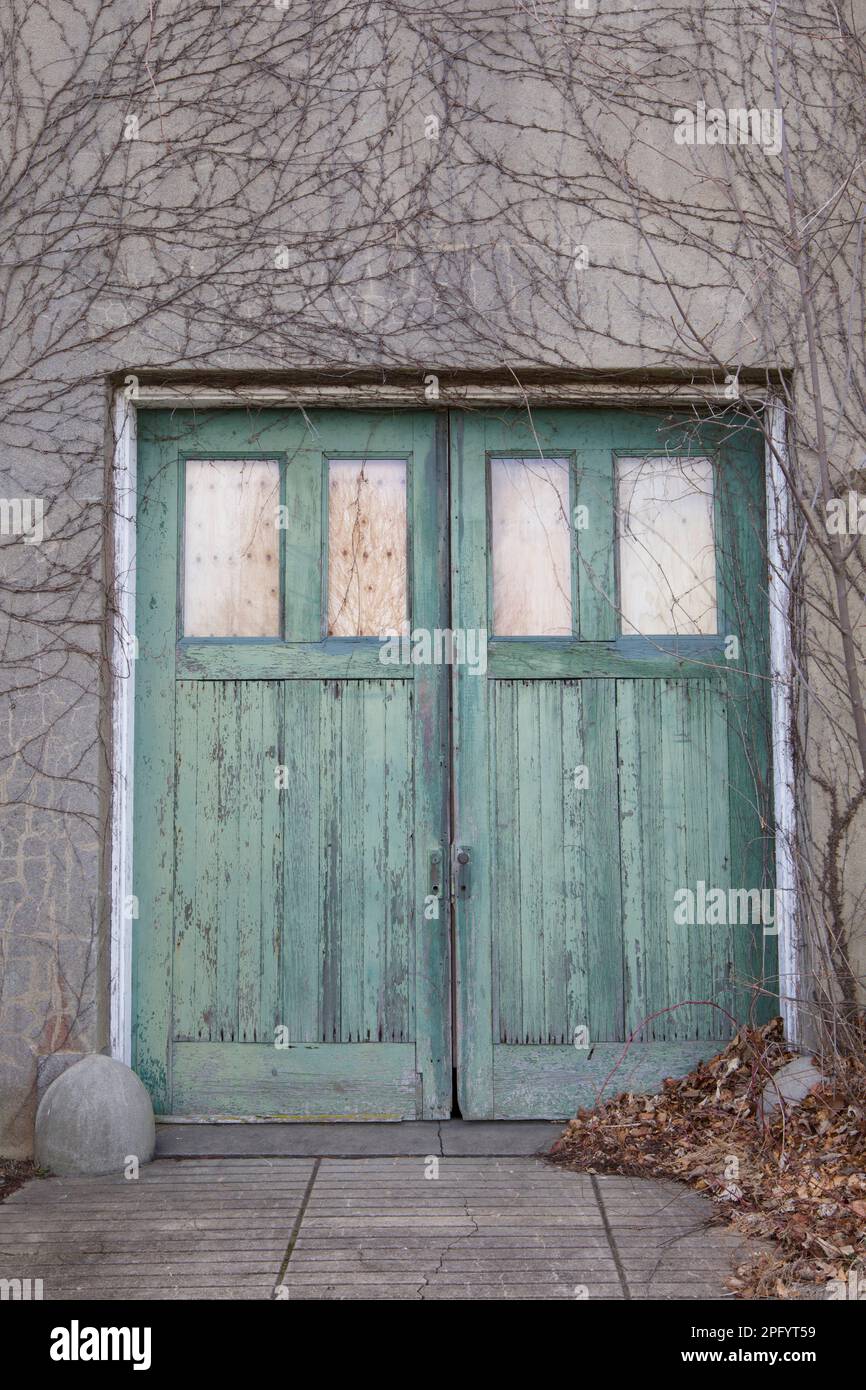 Portes en bois vert avec vignes. Entrée arrière de la calèche du parc régional Harkness Memorial, qui était un ancien domaine depuis le début de 1900s. Banque D'Images