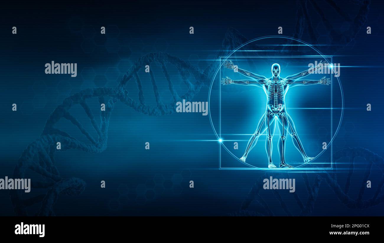 Illustration de rendu du corps humain et du squelette 3D avec espace de copie et arrière-plan bleu d'ADN. Anatomie, squelette ou système osseux, médical et santéca Banque D'Images