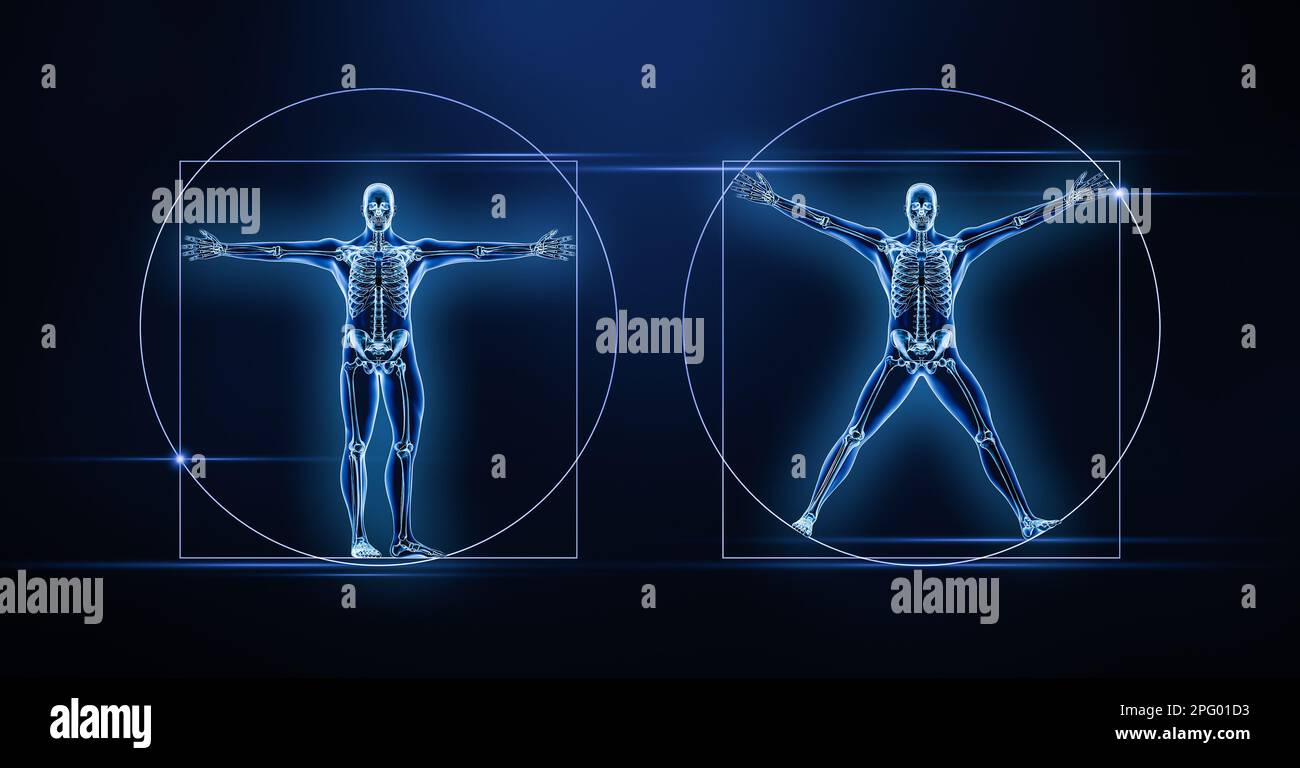Deux vues antérieure ou avant du corps humain et du squelette du mâle, xray 3D, donnant l'illustration sur fond bleu. Anatomie, médical, squelettique ou osseuse Banque D'Images