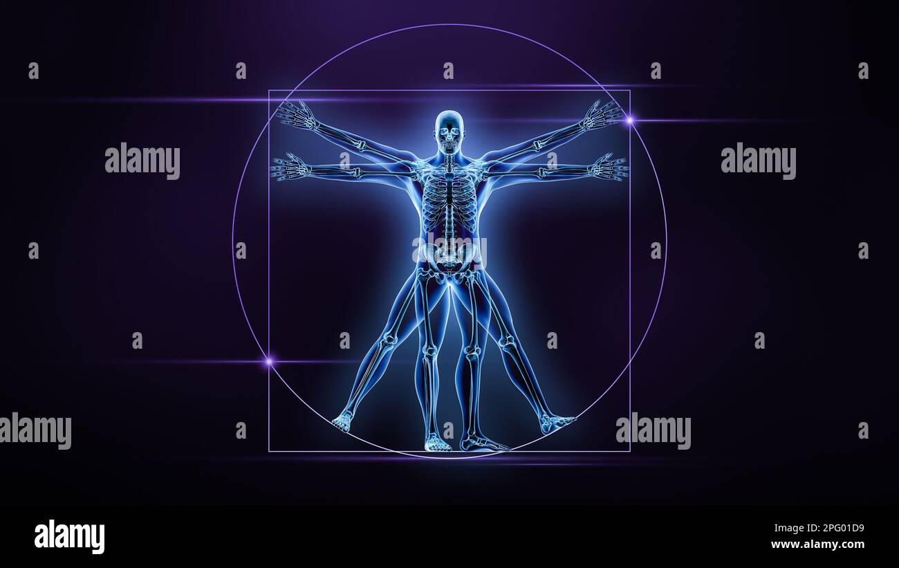 Vue antérieure ou avant du corps et des os mâles humains, illustration du rendu de la radiographie 3D. Squelette ou système squelettique anatomie, médical, science, biologie Banque D'Images