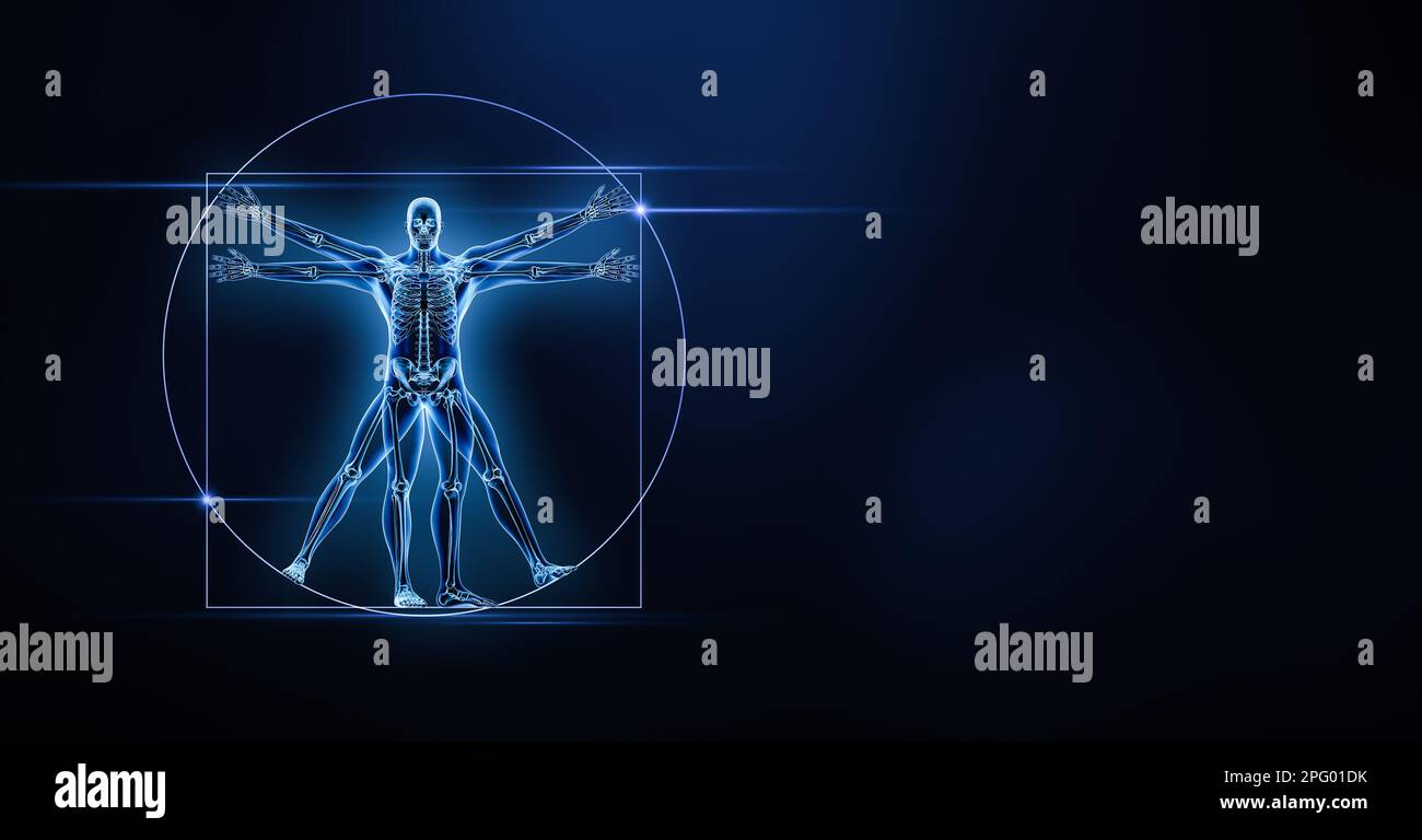 Illustration de rendu du corps et des os mâles humains xray 3D avec espace de copie sur fond bleu. Squelette ou anatomie squelettique, médical, santé, scienc Banque D'Images
