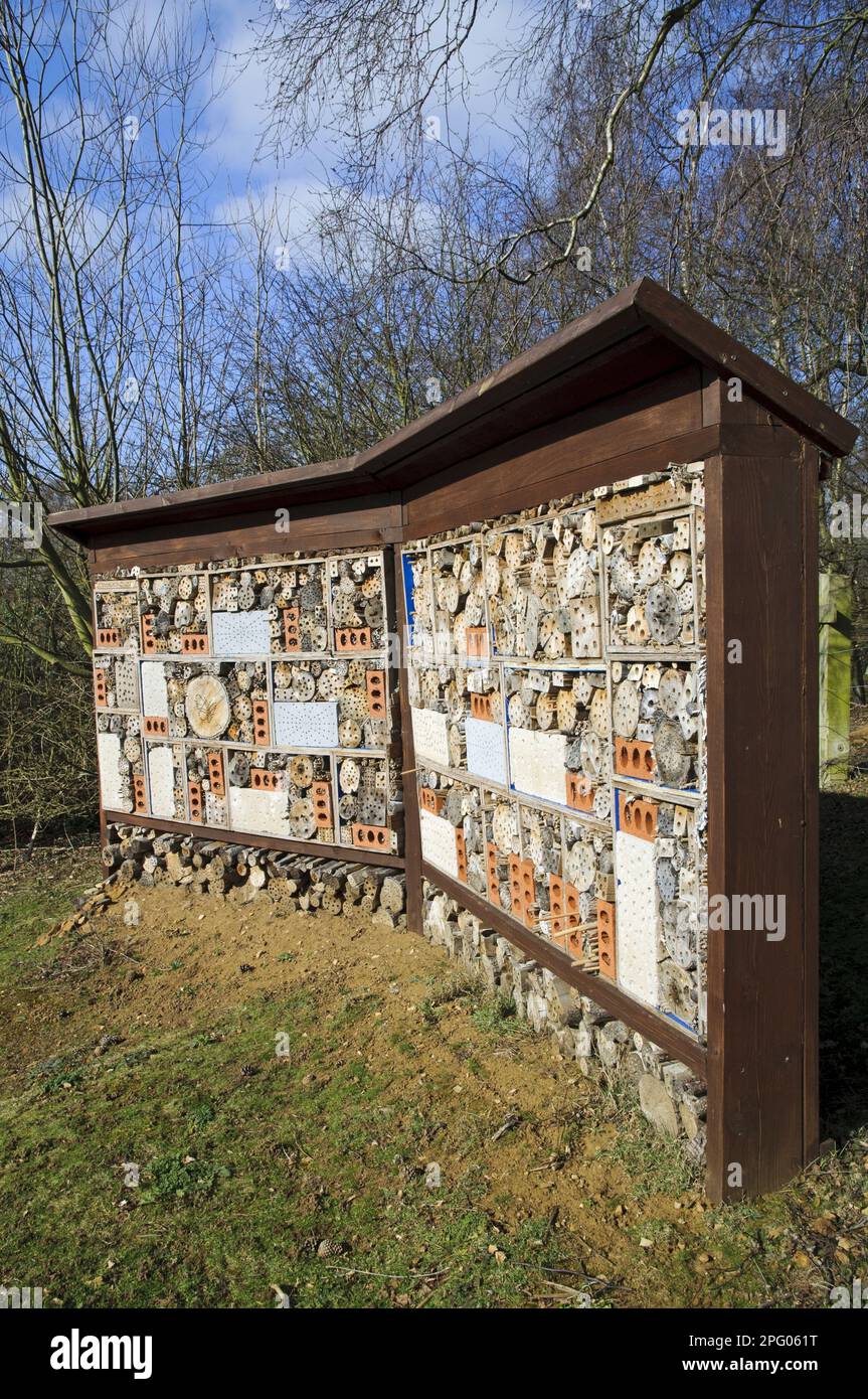 Guinness détient le record du plus grand Bug Hotel, Sevenoaks Wildlife Reserve, Kent, Angleterre, Royaume-Uni Banque D'Images