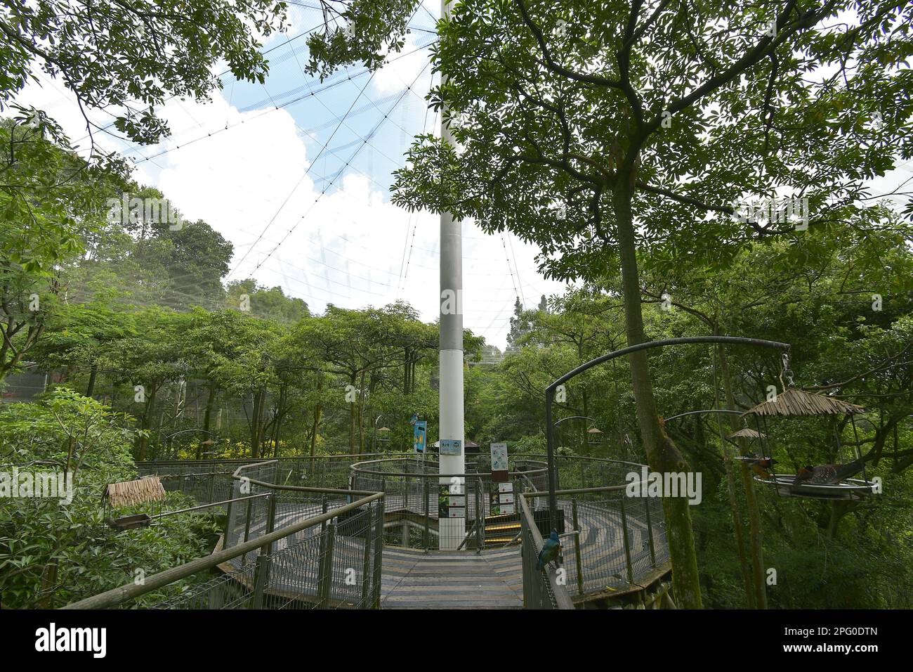 L'enceinte de l'African Treetops dans l'ancien parc ornithologique de Jurong à Singapour simule une promenade à 360 degrés à travers une canopée de forêt tropicale. Banque D'Images