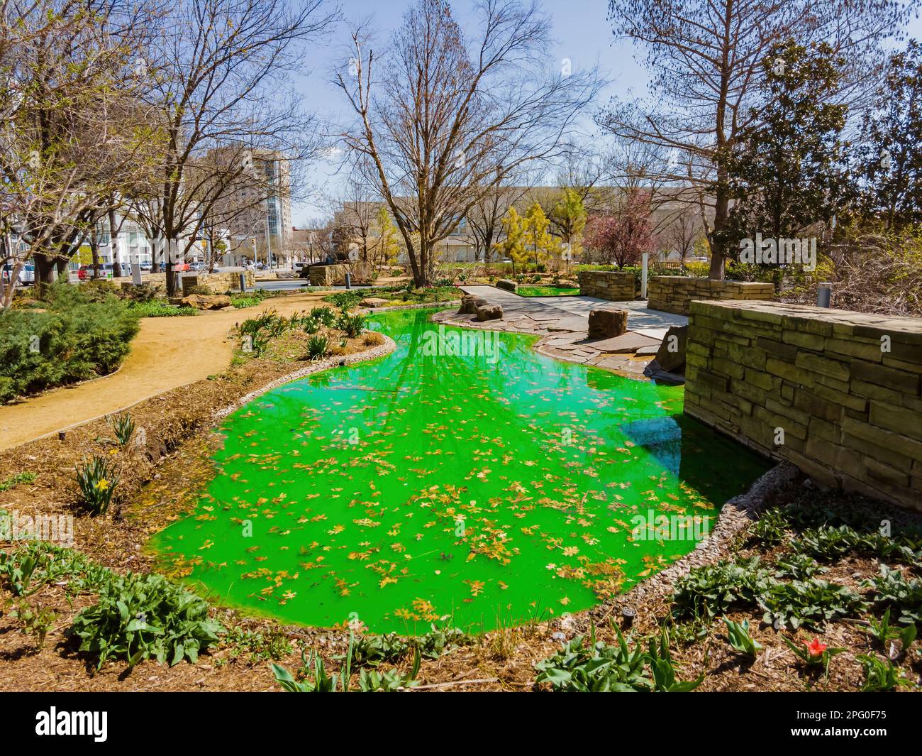 Vue ensoleillée sur les jardins botaniques de Myriad pendant St. Patrick's Day à Oklahoma Banque D'Images
