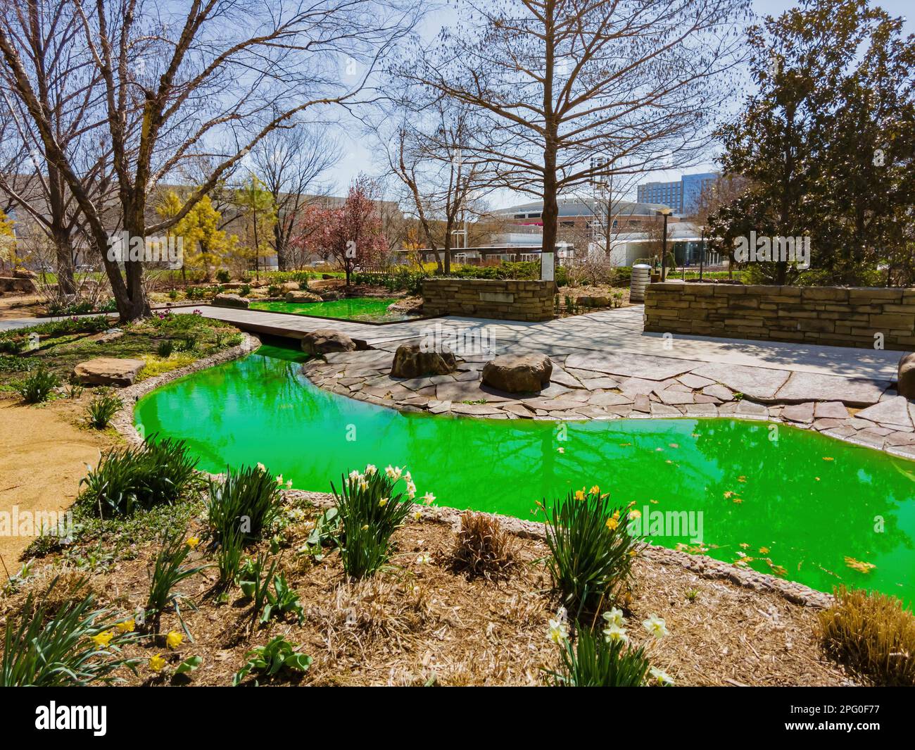Vue ensoleillée sur les jardins botaniques de Myriad pendant St. Patrick's Day à Oklahoma Banque D'Images
