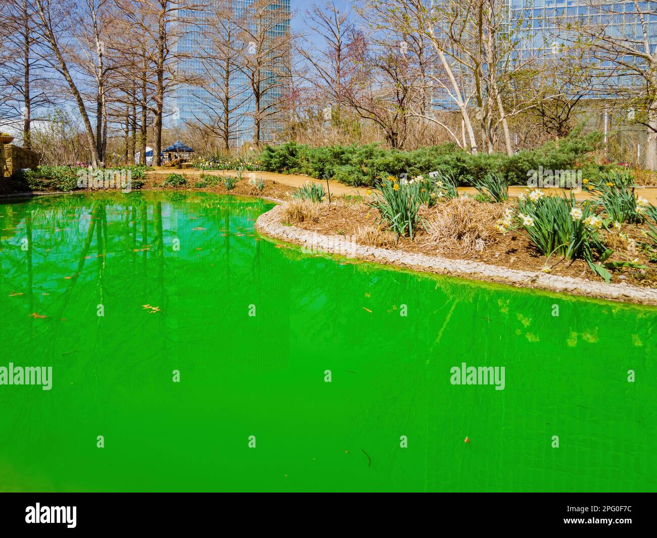Vue ensoleillée sur les jardins botaniques de Myriad pendant St. Patrick's Day à Oklahoma Banque D'Images