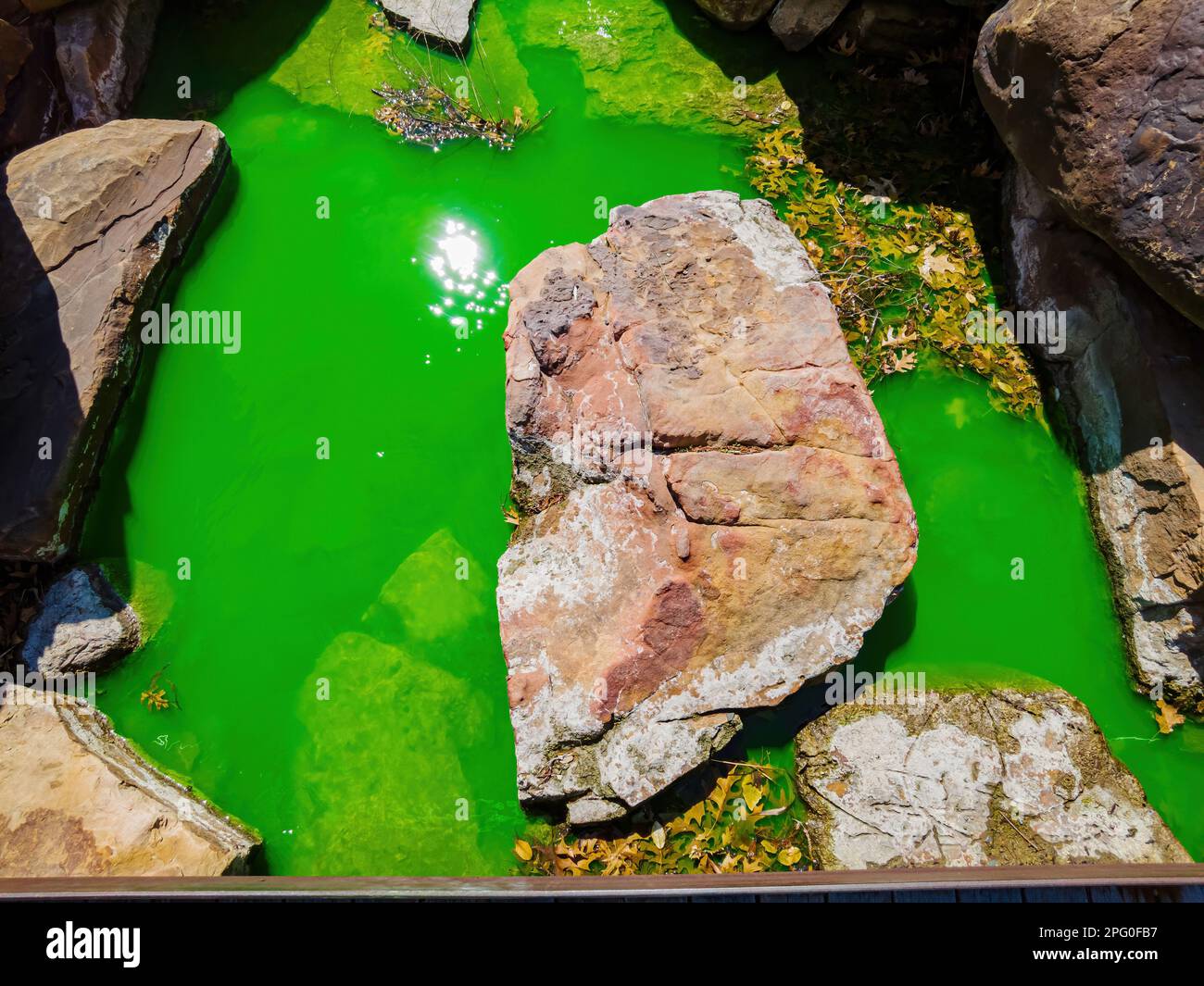 Vue ensoleillée sur les jardins botaniques de Myriad pendant St. Patrick's Day à Oklahoma Banque D'Images
