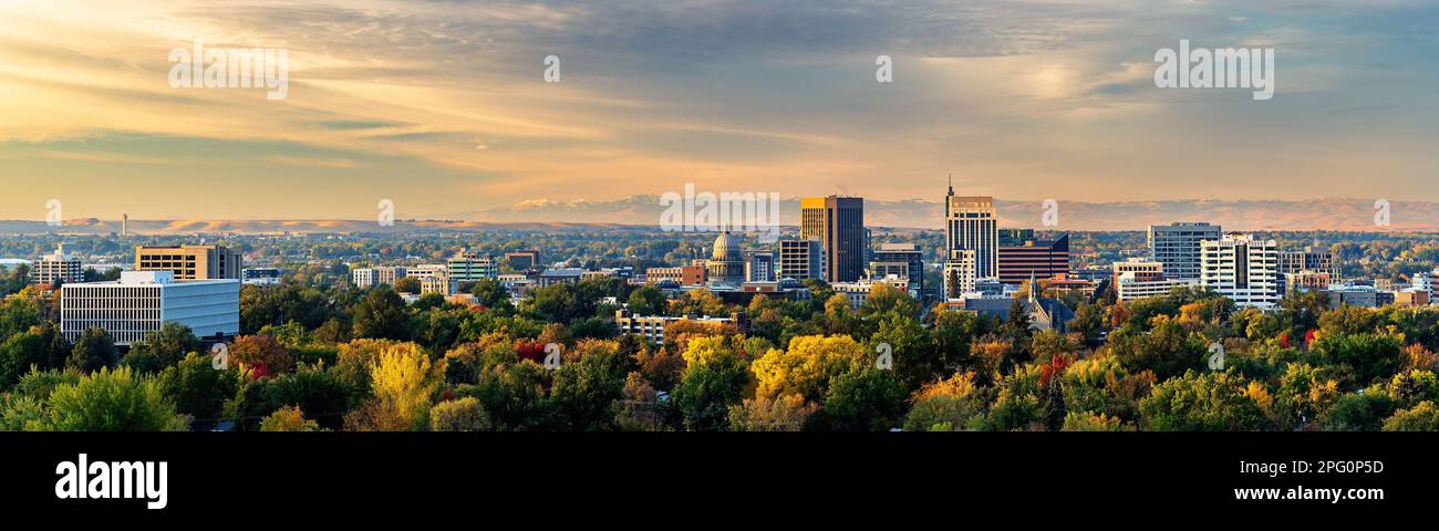 Arbres d'automne et horizon de Boise en début de matinée Banque D'Images