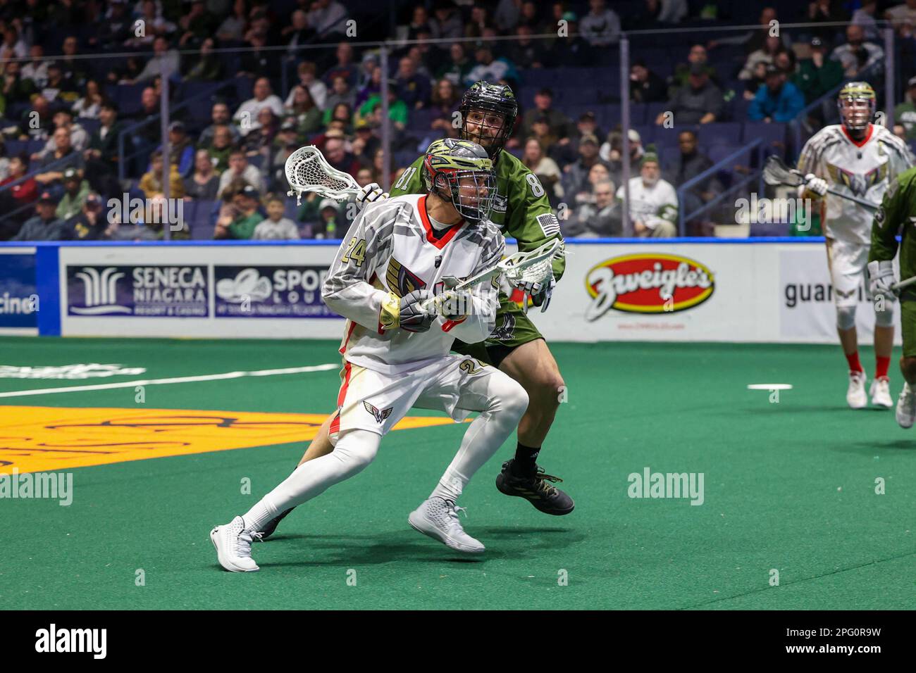 19 mars 2023: Philadelphia Wings Forward Mitch Jones (25) court avec le ballon dans le quatrième trimestre contre les Rochester Knighthawks. Les Rochester Knighthawks ont accueilli les Philadelphia Wings dans un match de la Ligue nationale de Lacrosse au Blue Cross Arena de Rochester, New York. (Jonathan Tenca/CSM) Banque D'Images