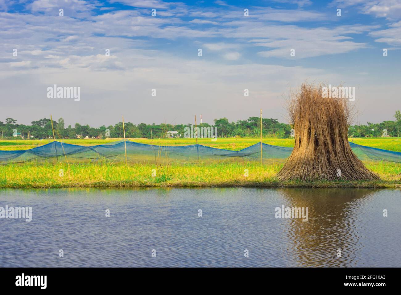 chobi bangladais Banque D'Images