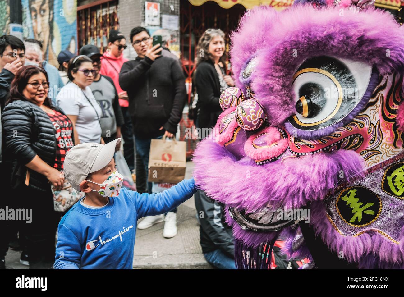 Un jeune enfant se met en contact avec le nez du lion lors du spectacle de danse du lion dans le quartier chinois de San Francisco. Les rues du quartier chinois de San Francisco ont été animées par l'excitation du spectacle annuel de danse du lion qui a eu lieu samedi. Le spectacle, qui est une célébration traditionnelle chinoise du nouvel an, a présenté des dizaines d'artistes vêtus de costumes de lion colorés. L'Association chinoise de bienfaisance consolidée a organisé l'événement. Ce groupe communautaire local s'efforce de préserver et de promouvoir la culture chinoise à San Francisco. Le spectacle de danse du lion a été un élément de base du cele du nouvel an chinois Banque D'Images