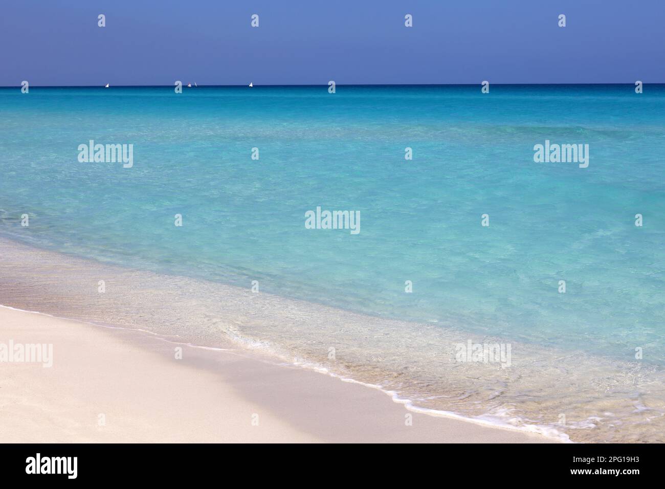 Plage tropicale avec sable blanc sur un océan, vue sur les vagues bleues et le ciel. Côte des Caraïbes, arrière-plan pour des vacances sur une nature paradisiaque Banque D'Images