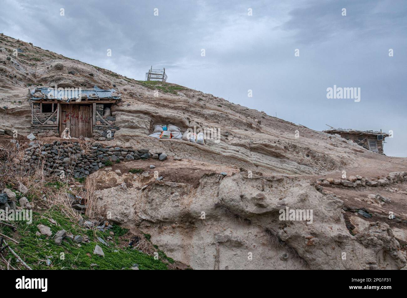 23 mars 2016, Afyonkarahisar, Turquie : un chien de berger se trouve devant la porte lorsqu'il retourne à la grange. Il y a des chiens de berger qui vont en haut de la montagne avec le troupeau. Dans le village de Kark?n d'Afyonkarahisar, avec une population de 339 habitants, les éleveurs élèvent principalement des moutons, des chèvres et des vaches dans les grottes situées juste à côté du village. Les villageois qui vivent de l'élevage disent qu'environ 50 grottes ont été utilisées pour le même but depuis 100 ans. Dans le village de Kark?n d'Afyonkarahisar, avec une population de 339 habitants, les éleveurs élèvent principalement des moutons, des chèvres, et des vaches dans les grottes juste à côté de t Banque D'Images