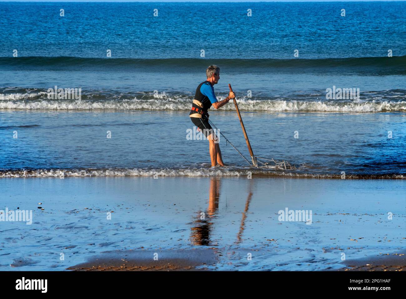 Coquinero, mariscadores tradicionales Parque Nacional de Doñana National Park, Almonte, province de Huelva, région d'Andalousie, Espagne, L’Europe qu’ils sont Banque D'Images