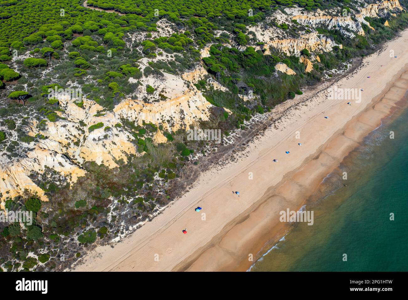 Vue aérienne de la plage de Fontanilla sable et falaises, Mazagon, Costa de la Luz, province de Huelva, Andalousie, Espagne, Europe entre le Parc naturel de Doñana Banque D'Images