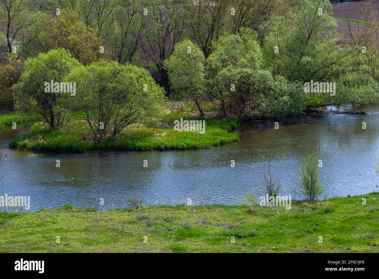 Paysage magnifique forêt alluviale à la rivière en arrière lumière au printemps. Banque D'Images