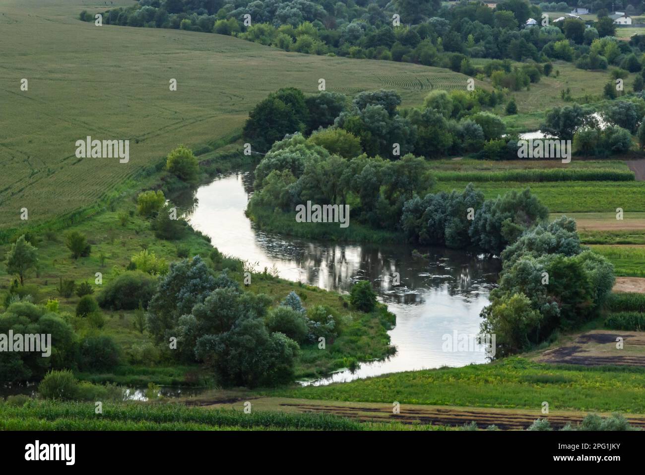 Paysage magnifique forêt alluviale à la rivière en arrière lumière au printemps. Banque D'Images