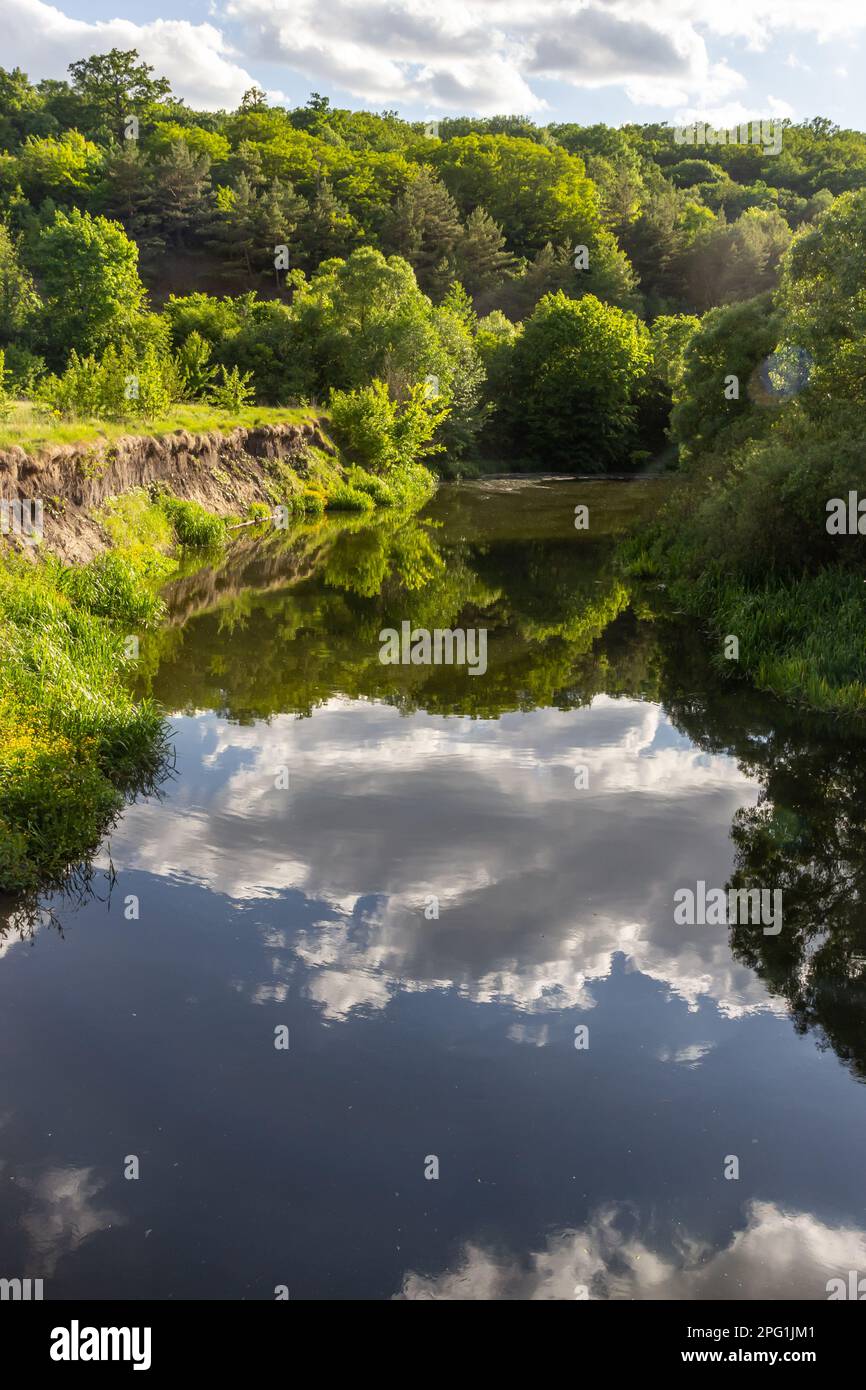 Paysage magnifique forêt alluviale à la rivière en arrière lumière au printemps. Banque D'Images