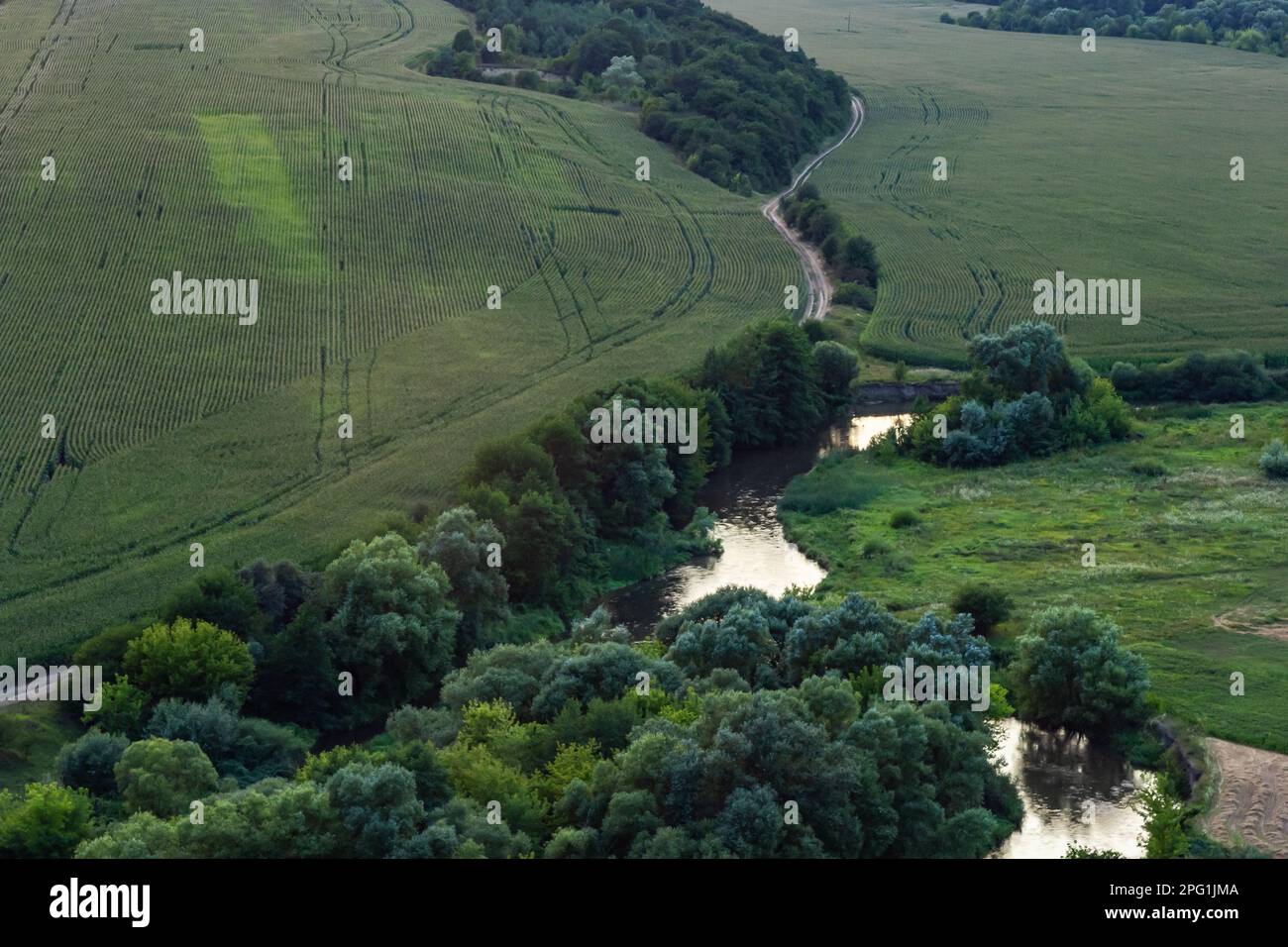 Paysage magnifique forêt alluviale à la rivière en arrière lumière au printemps. Banque D'Images