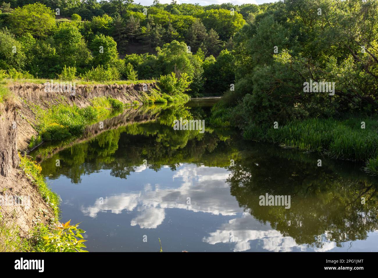 Paysage magnifique forêt alluviale à la rivière en arrière lumière au printemps. Banque D'Images