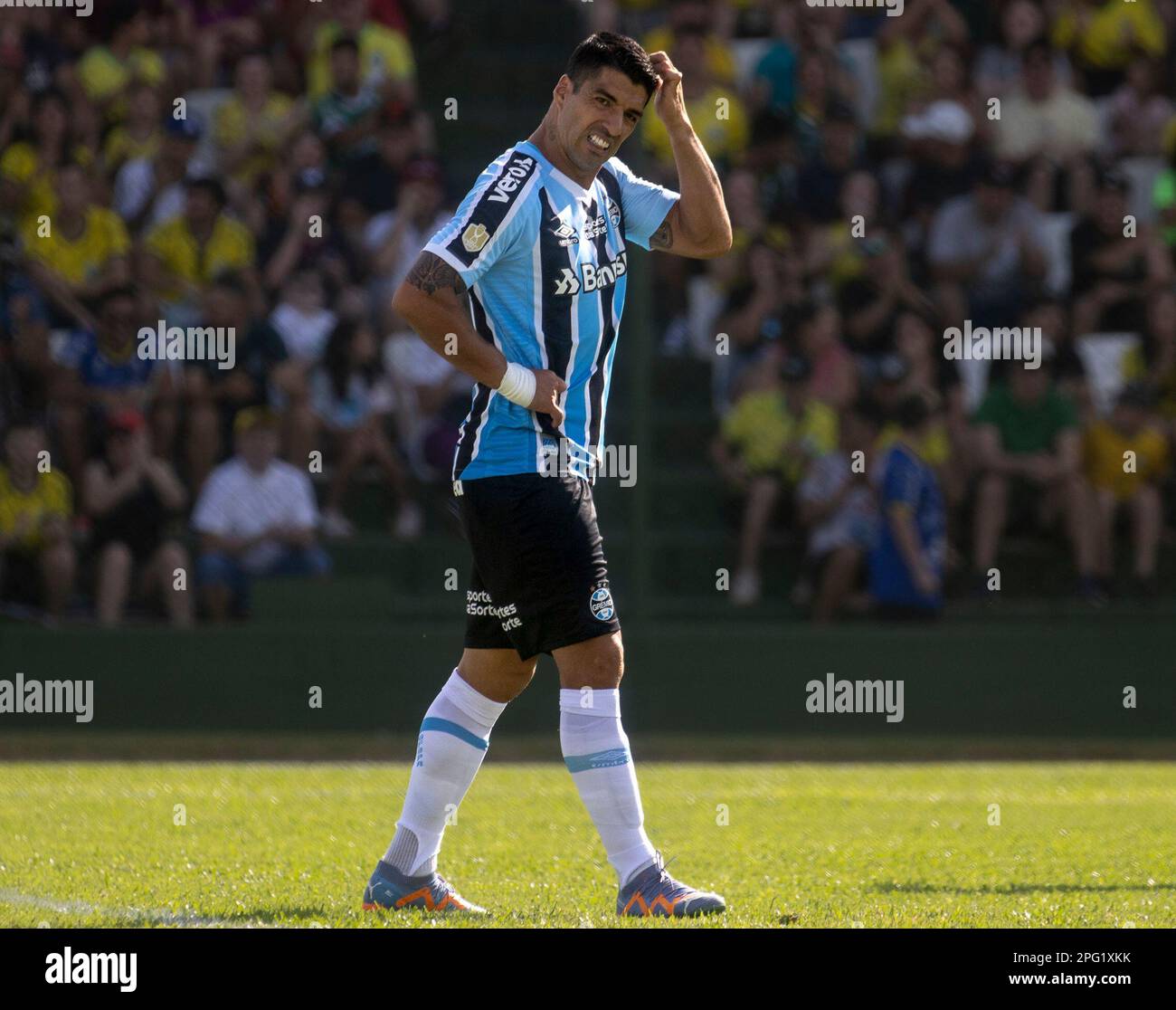 RS - Erechim - 03/19/2023 - GAUCHO 2023, YPIRANGA X GREMIO - Luis Suarez, a Gremio player, regrets taking a missed penalty in a decision during a match against Ypiranga at the Colosso da Lagoa stadium for the 2023 Gaucho championship. Photo: Liamara Polli/AGIF (via AP) Banque D'Images