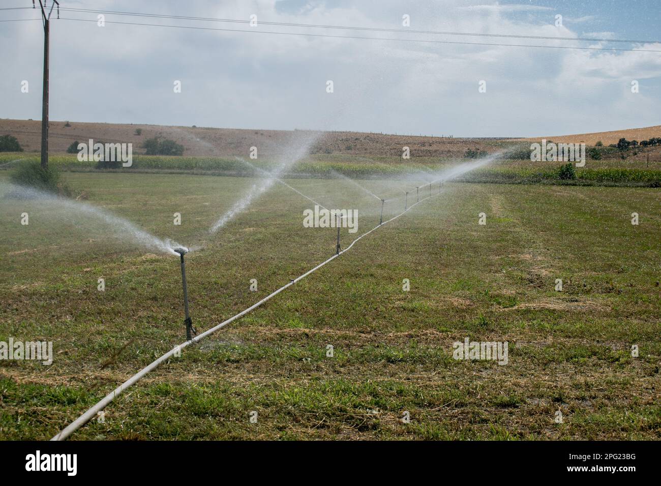 arroseurs de champs d'eau en été Banque D'Images