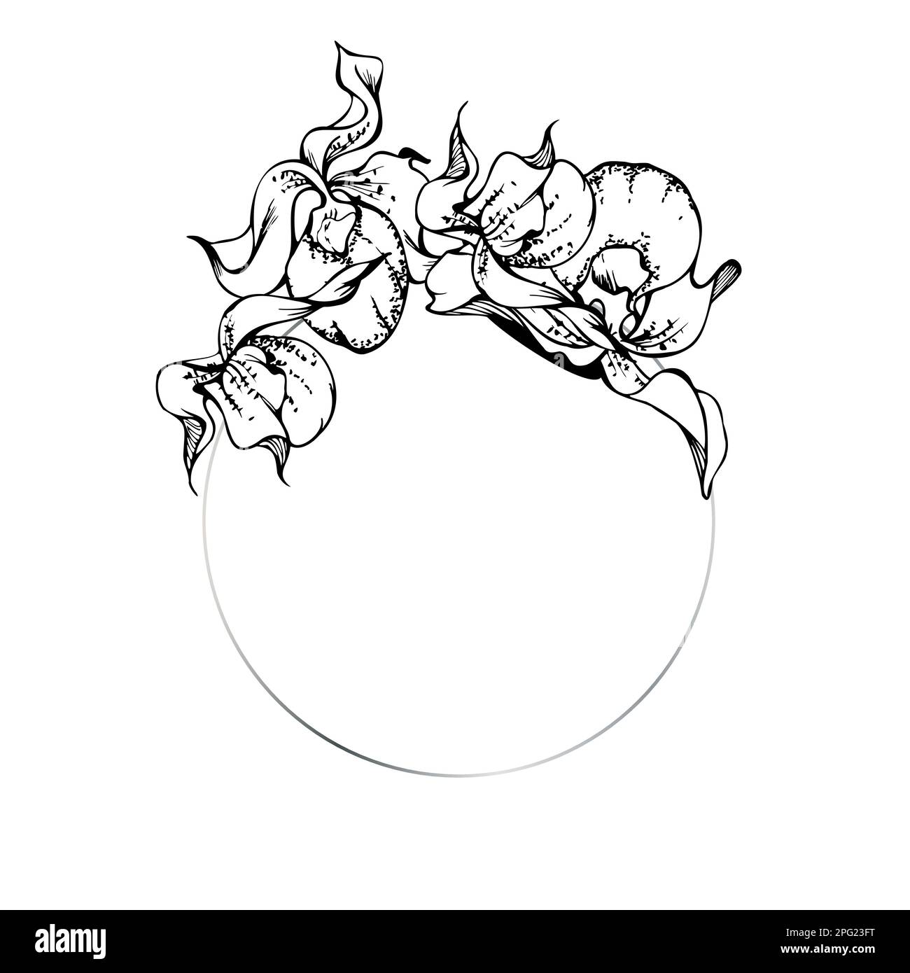 Fleurs et branches d'orchidées à encre vectorielle dessinées à la main, monochrome, contour détaillé. Composition de couronne circulaire. Isolé sur fond blanc. Conception pour Illustration de Vecteur