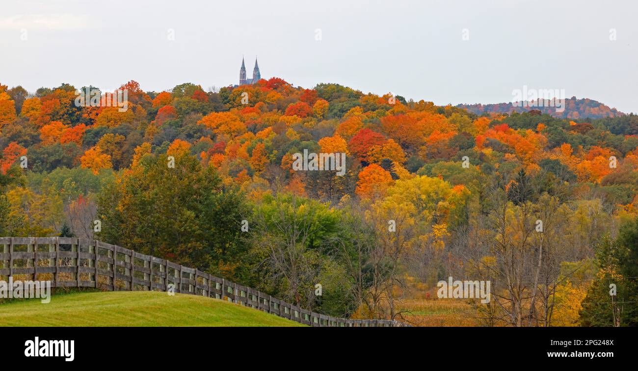 Arbres de couleur d'automne dans le Wisconsin. Banque D'Images