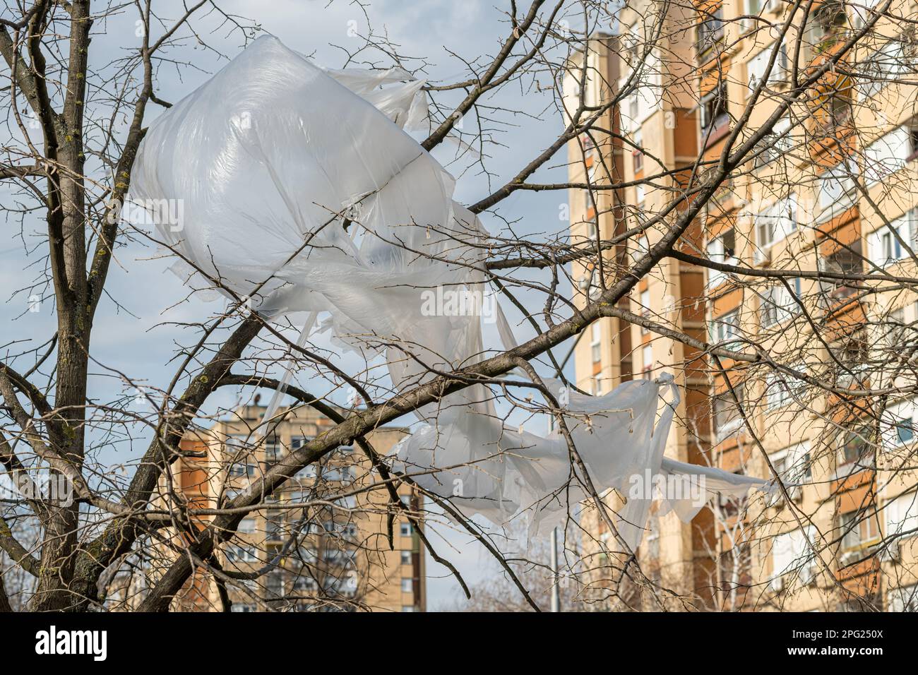 Matériau d'emballage en plastique dans la cime d'arbres sur la rue avec l'immeuble d'appartements en arrière-plan, foyer sélectif Banque D'Images