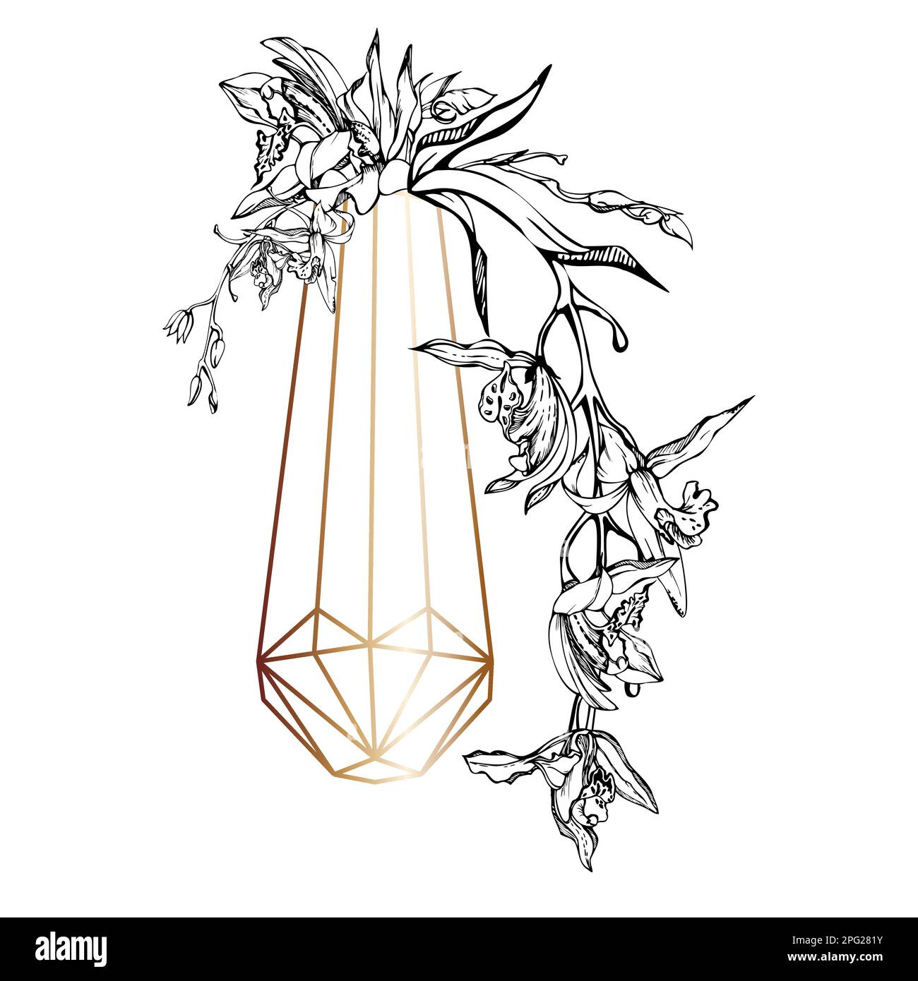 Fleurs et branches d'orchidées à encre vectorielle dessinées à la main, monochrome, contour détaillé. Composition en cristal. Isolé sur fond blanc. Conception f Illustration de Vecteur