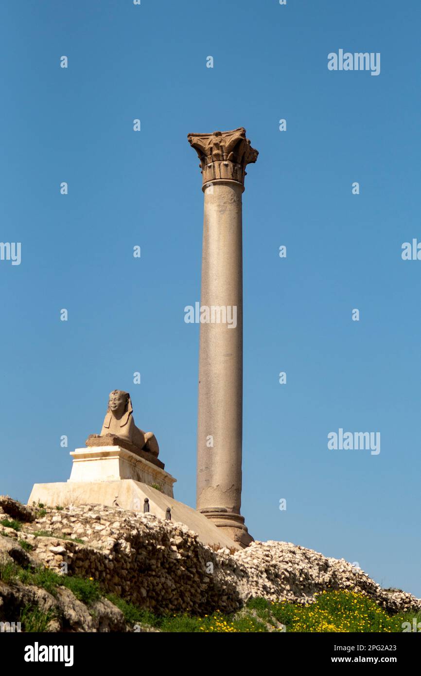 La colonne de Pompée, Alexandria, Egypte Banque D'Images