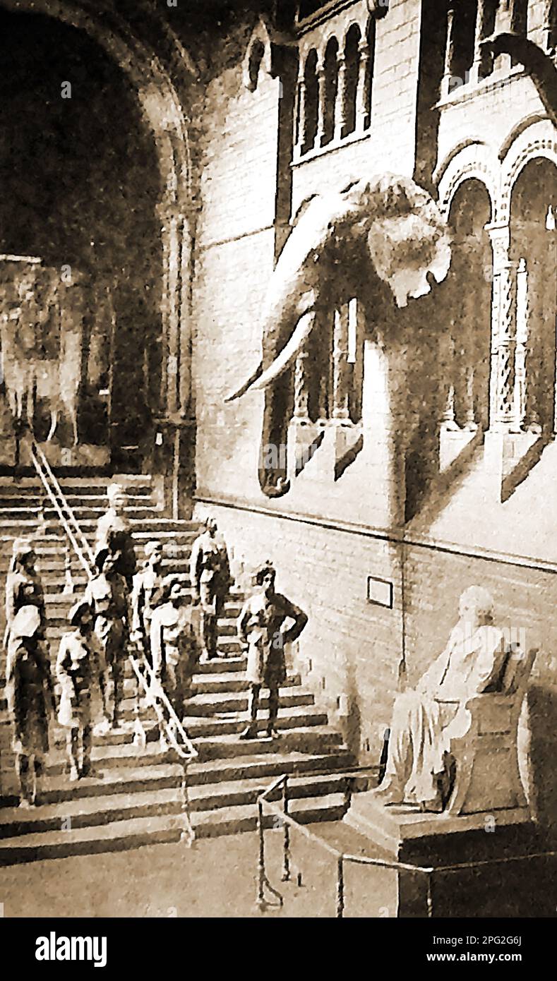 Première Guerre mondiale - des officiers indiens en congé à Londres visitant le Musée d'Histoire naturelle de South Kensington., Londres, Royaume-Uni -- प्रथम विश्व युद्ध - लंदन में छुट्टी पर भारतीय अधिकारी साउथ केंसिंग्टन, लंदन, यूके में प्राकृतिक इतिहास संग्रहालय का दौरा कर रहे हैं -- - প্রথম বিশ্বযুদ্ধ - লন্ডনে ছুটিতে থাকা ভারতীয় অফিসাররা লন্ডনের সাউথ কেনসিংটনের ন্যাচারাল হিস্ট্রি মিউজিয়াম পরিদর্শন করছেন। - प्रथम विश्व युद्ध - लंदन में छुट्टी पर भारतीय अधिकारी साउथ केंसिंग्टन, लंदन, यूके में प्राकृतिक इतिहास संग्रहालय का दौरा कर रहे हैं Banque D'Images