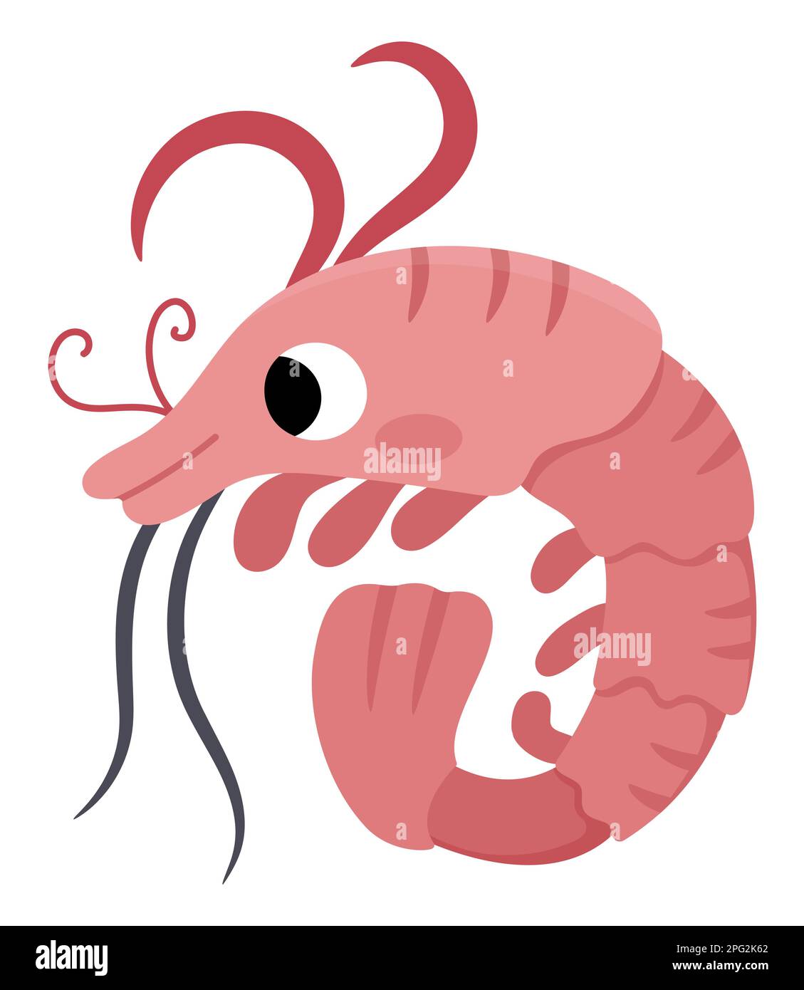 Icône de crevettes vectorielles. Sous l'illustration de la mer avec de mignons poissons de crevettes drôles. Clipart animal océan. Dessin animé sous-marin ou clip art marine pour les enfants est Illustration de Vecteur