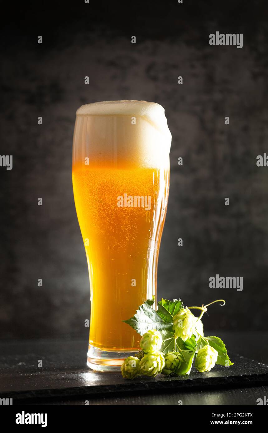 Un verre de bière légère avec mousse sur fond sombre et des grappes de houblon vert. Bière non filtrée avec mousse qui s'étend sur le verre Banque D'Images
