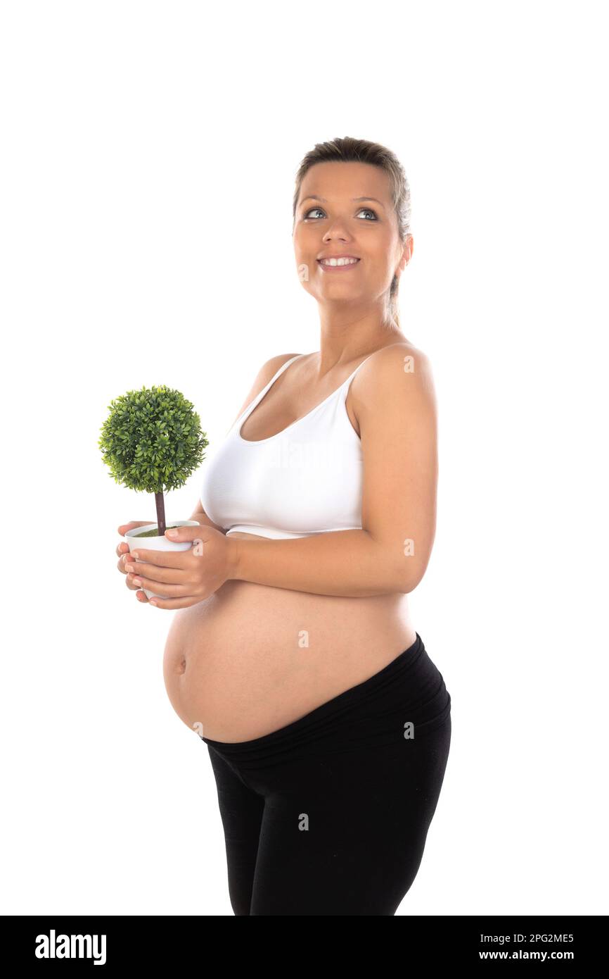 Femme enceinte montrant son ventre tenant une plante. Prenez soin de l'environnement Banque D'Images