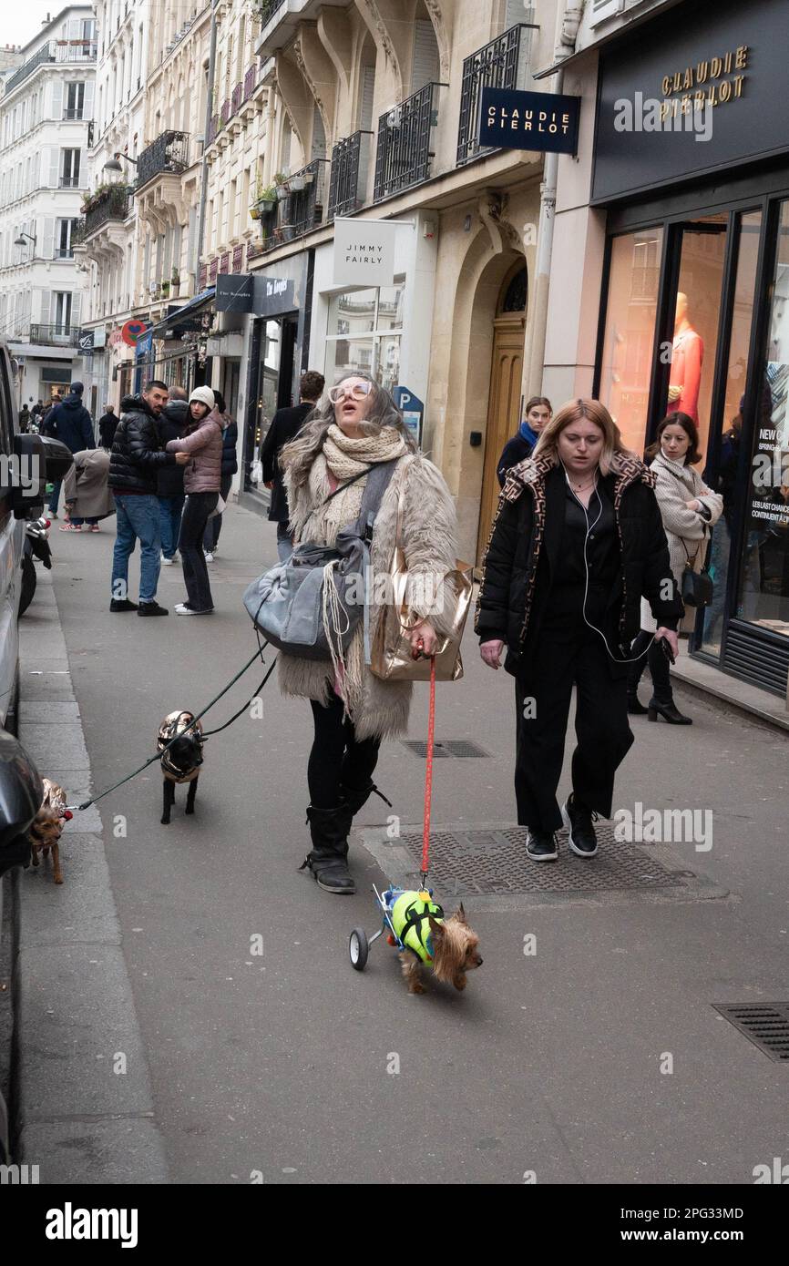 Femme marchant chiens dont un avec 2 jambes remplacées par des roues, comme les spectateurs sont choqués Banque D'Images