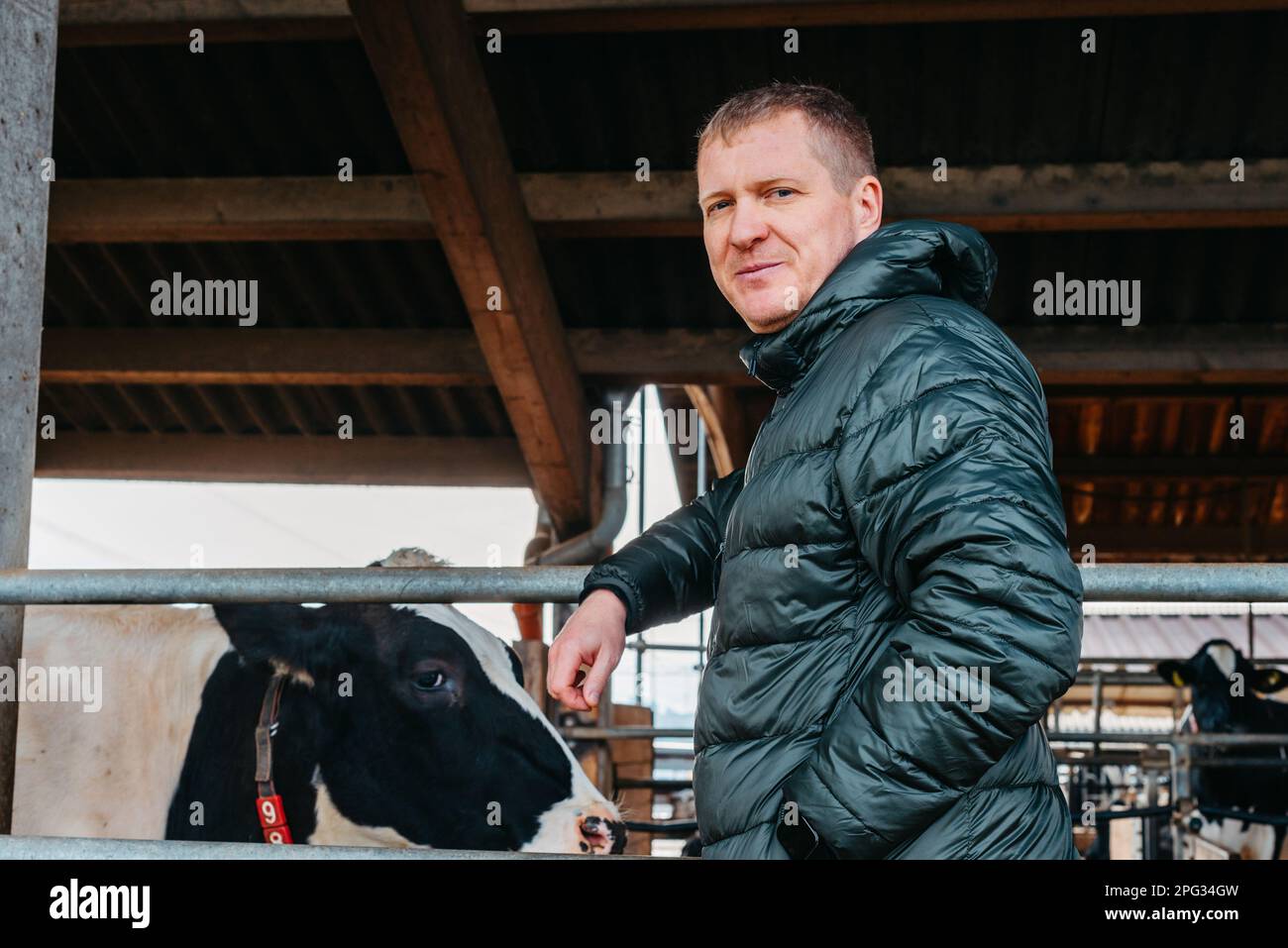 Homme fermier près de ses vaches. Portrait d'un jeune propriétaire de ferme debout dans un long bassin de vache près du corral avec des veaux. Homme dans des vêtements ordinaires vérifie le Banque D'Images