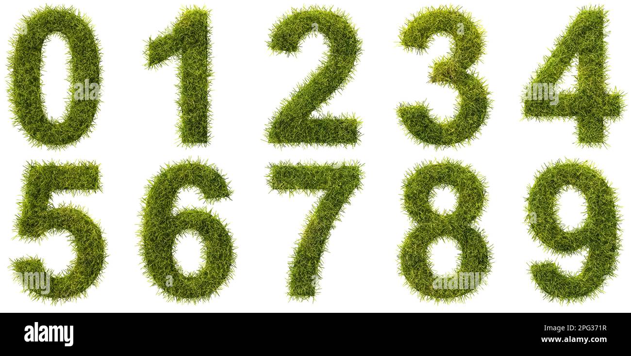 Vert herbe chiffres 0 1 2 3 4 5 6 7 8 9 isolés sur fond blanc. Voir les autres images pour les lettres. Banque D'Images