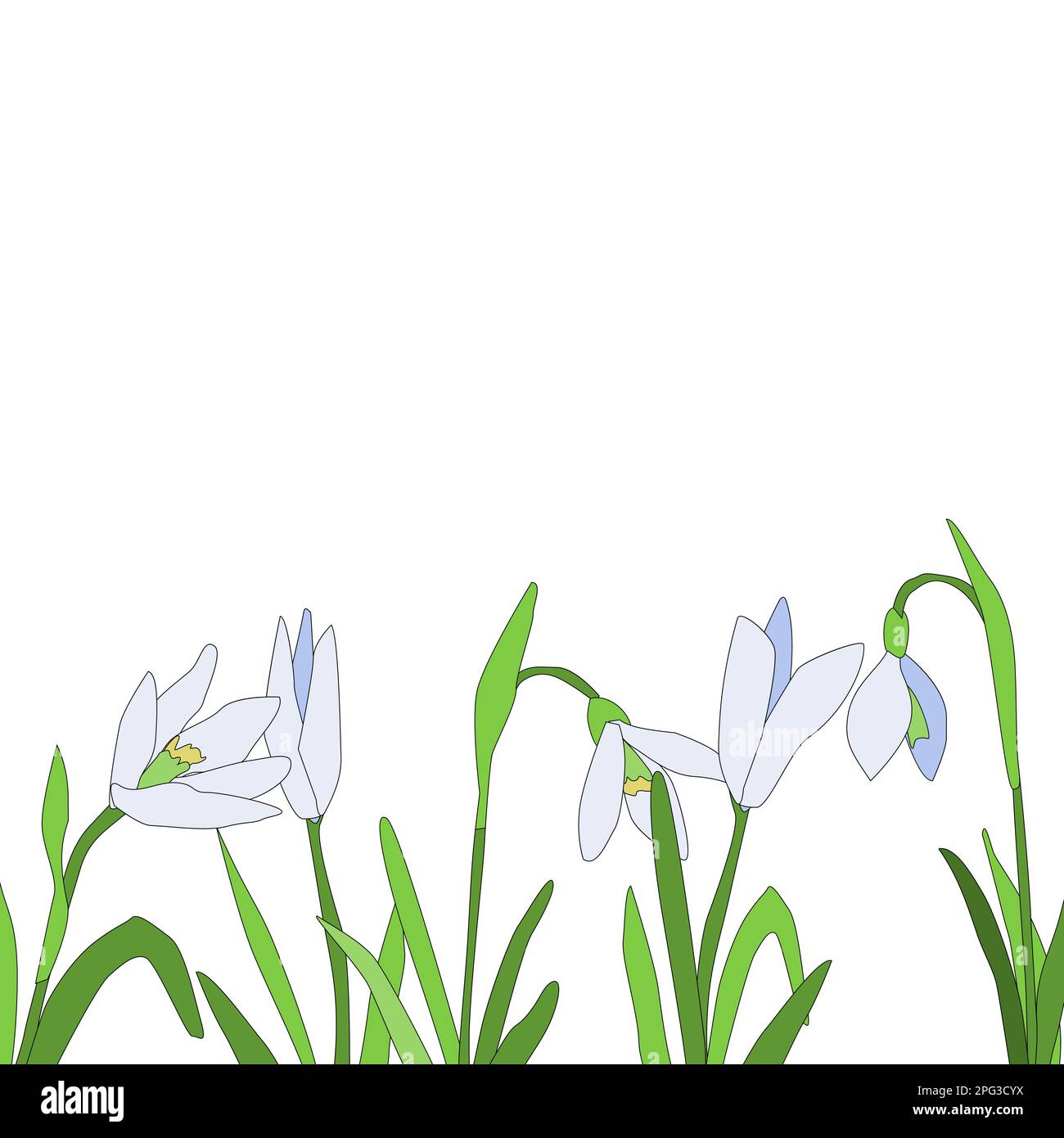 Fleurs coupées au printemps. Arrière-plan vectoriel Illustration de Vecteur