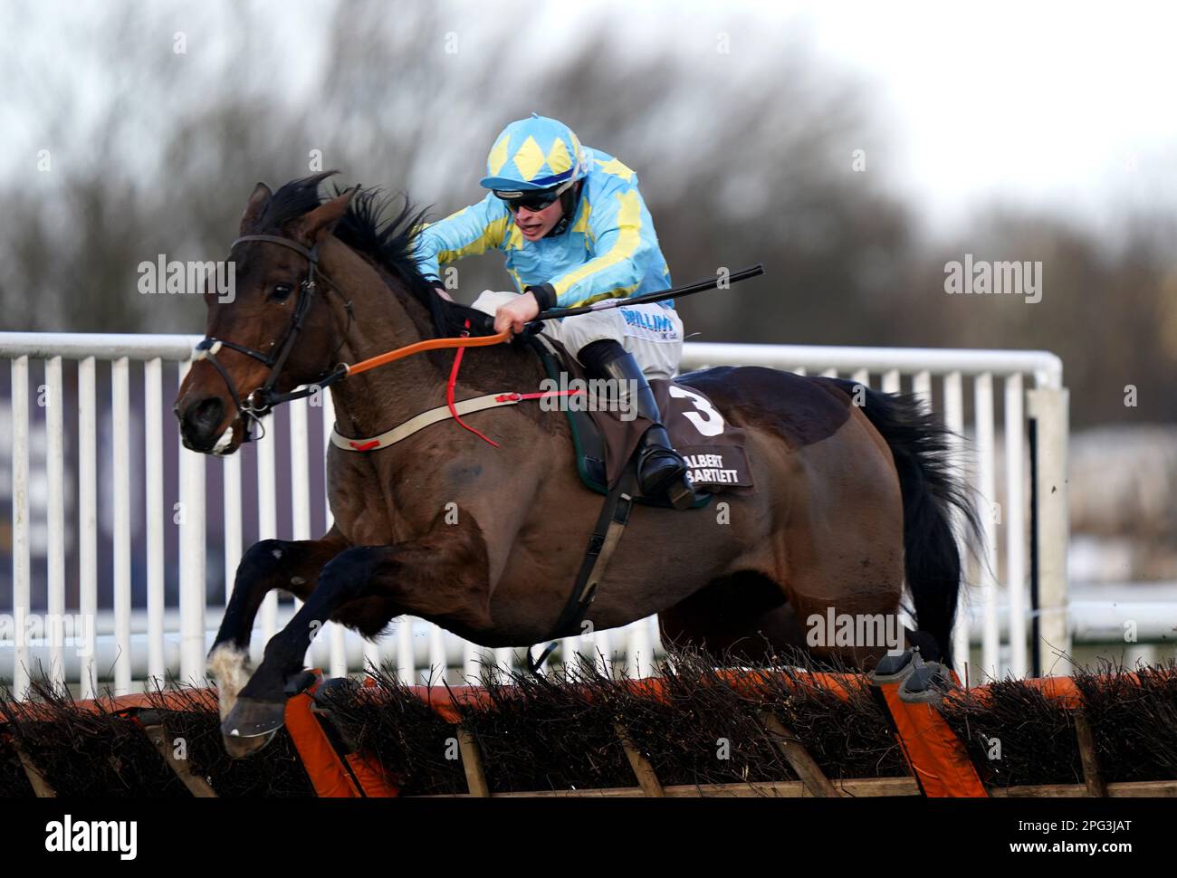 Photo du dossier datée du 29-01-2022 de la mission Mahler, prise en charge par James Bowen. John McConnell attend avec impatience le « jour du soleil » de Mahler Mission après sa fin d’automne au Cheltenham Festival. Date de publication : lundi 20 mars 2023. Banque D'Images