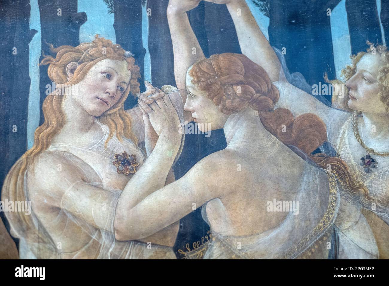 La Primavera, signifiant printemps, peinte par Sandro Botticelli à la galerie Uffizi de Florence, en Italie. Banque D'Images
