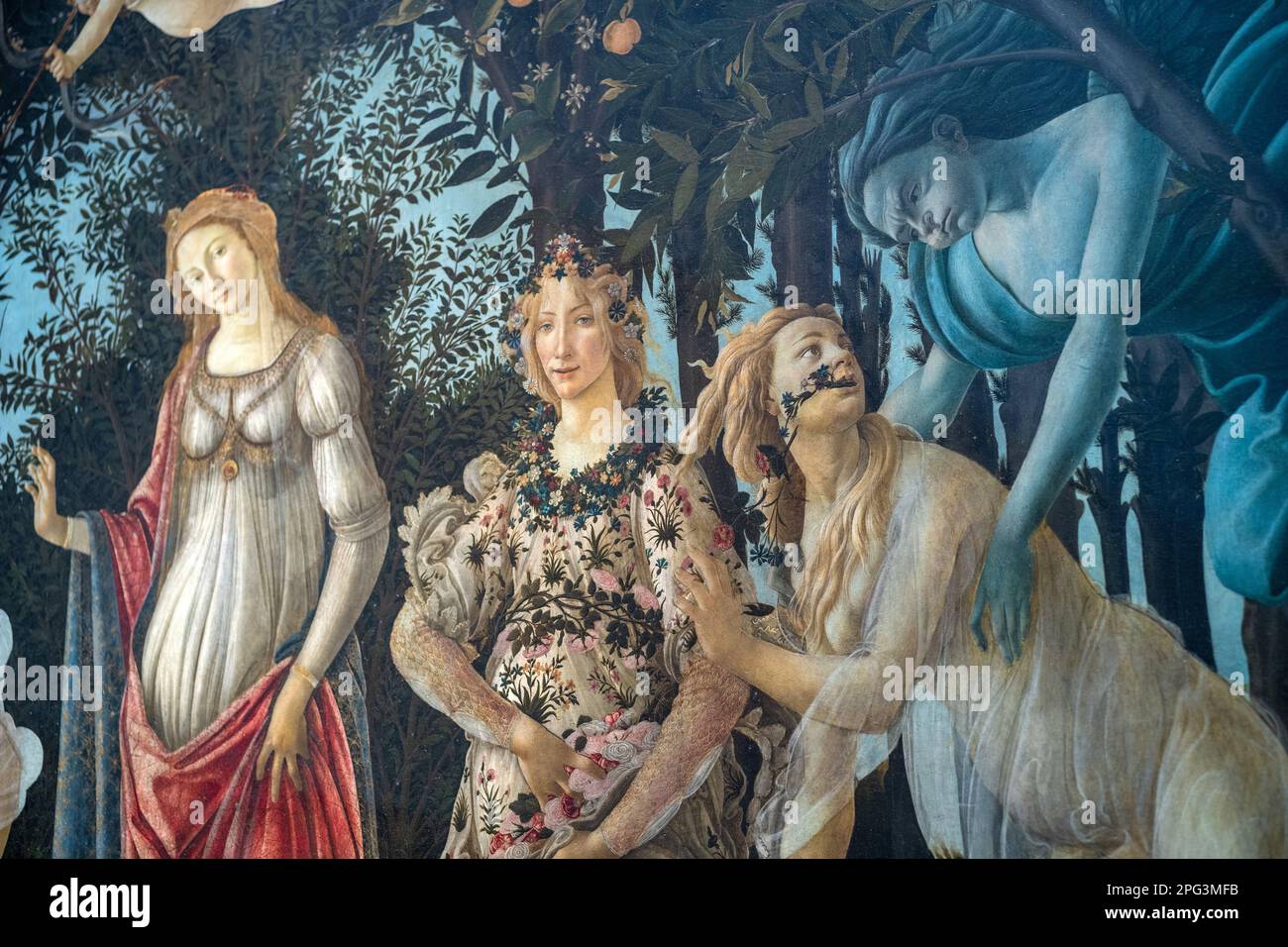 La Primavera, signifiant printemps, peinte par Sandro Botticelli à la galerie Uffizi de Florence, en Italie. Banque D'Images