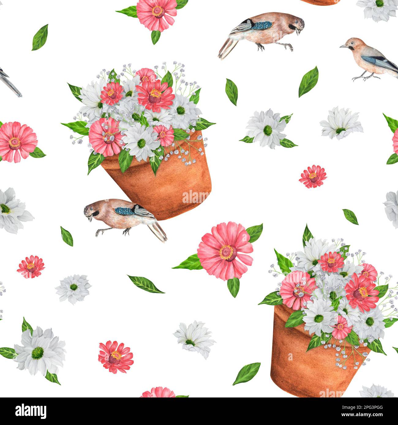 Motif aquarelle dessiné à la main sur blanc. Les oiseaux de Jay et les fleurs du jardin. Une petite partie du grand ensemble BIRDS GARDEN Banque D'Images