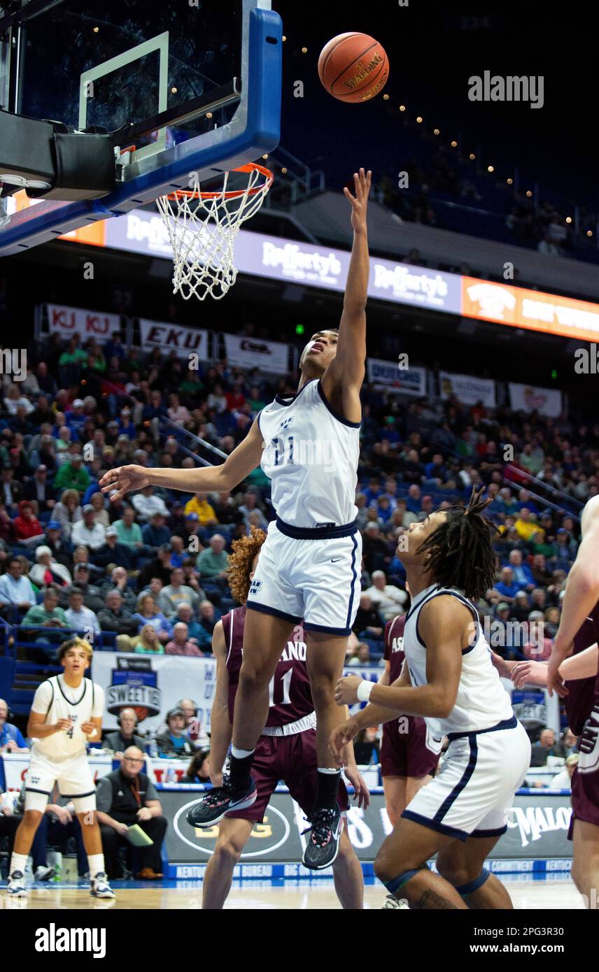 Warren Central's Chappelle Whitney (21) shoots a layup in the Dragons ...