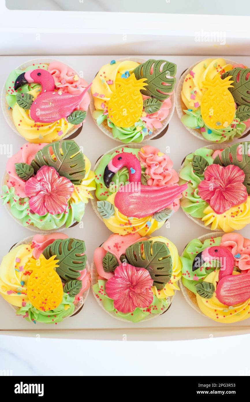 Boîte cadeau avec petits gâteaux, fruits et fleurs flammants colorés et lumineux pour la fête d'anniversaire tropicale Banque D'Images